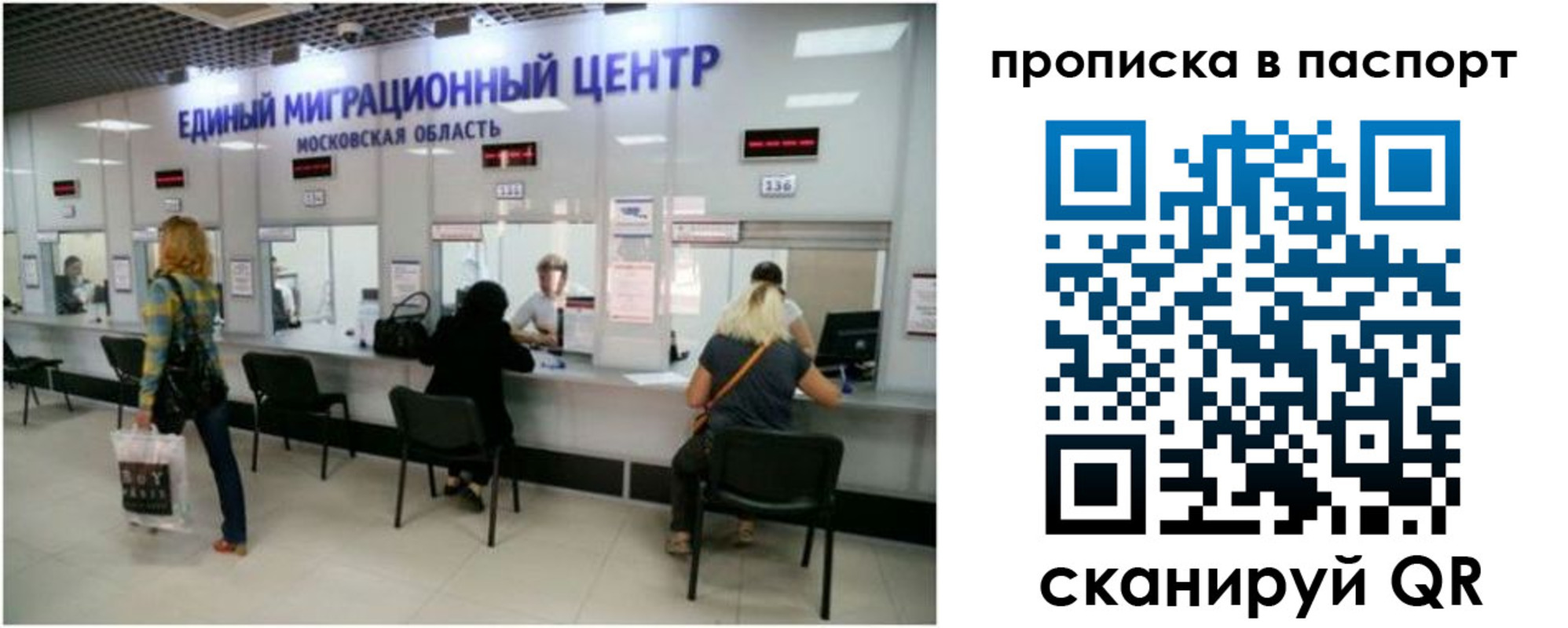 прописка в Козельске